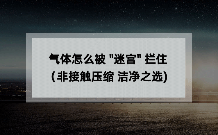 气体怎么被 “迷宫” 拦住（非接触压缩 洁净之选)